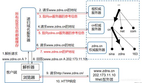 域名系統(DNS) 互聯網的“電話簿”——起源、原理與服務解析